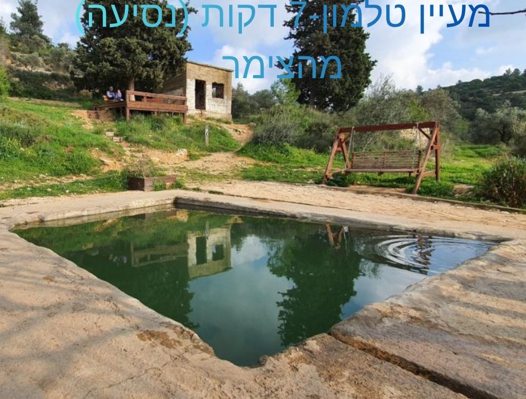 האטרקציות 4